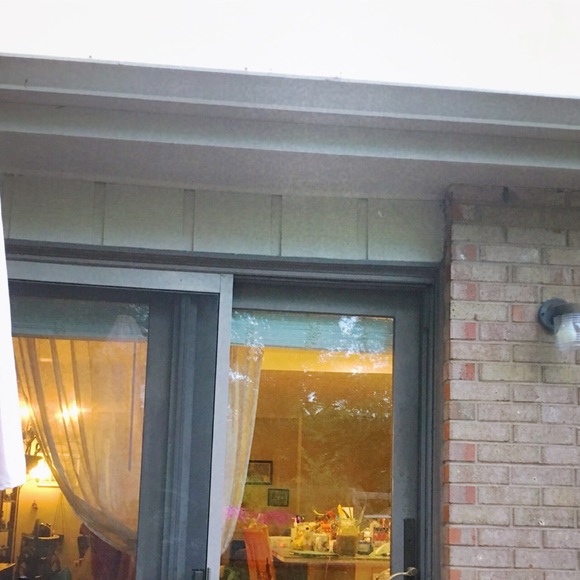 Meet your Posher,K 😻🌹🥰🌻 - Picture 2 of 2